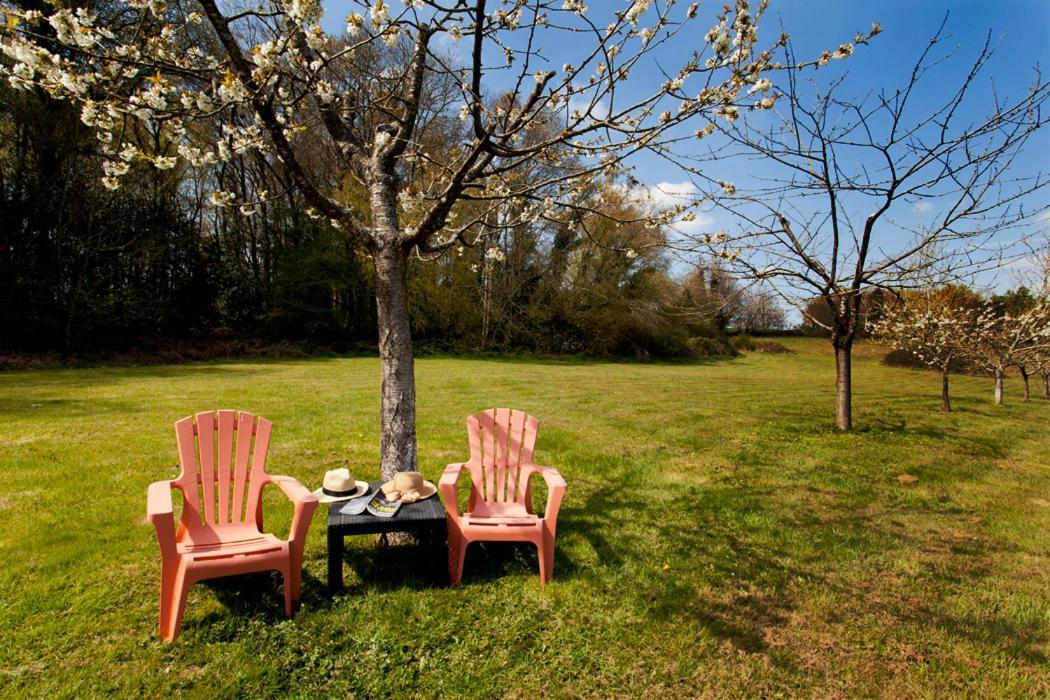 Stone Cottage With Modern Cosy Interior Near To Josselin Perfect Retreat For Writers Or Star Gazers Guégon Εξωτερικό φωτογραφία